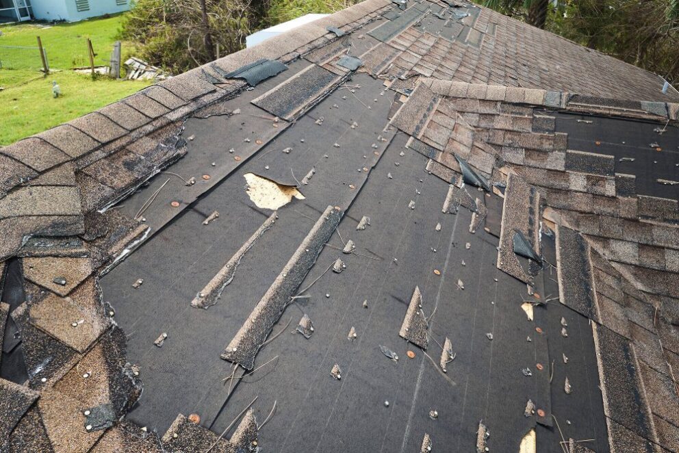 Roof Maintenance