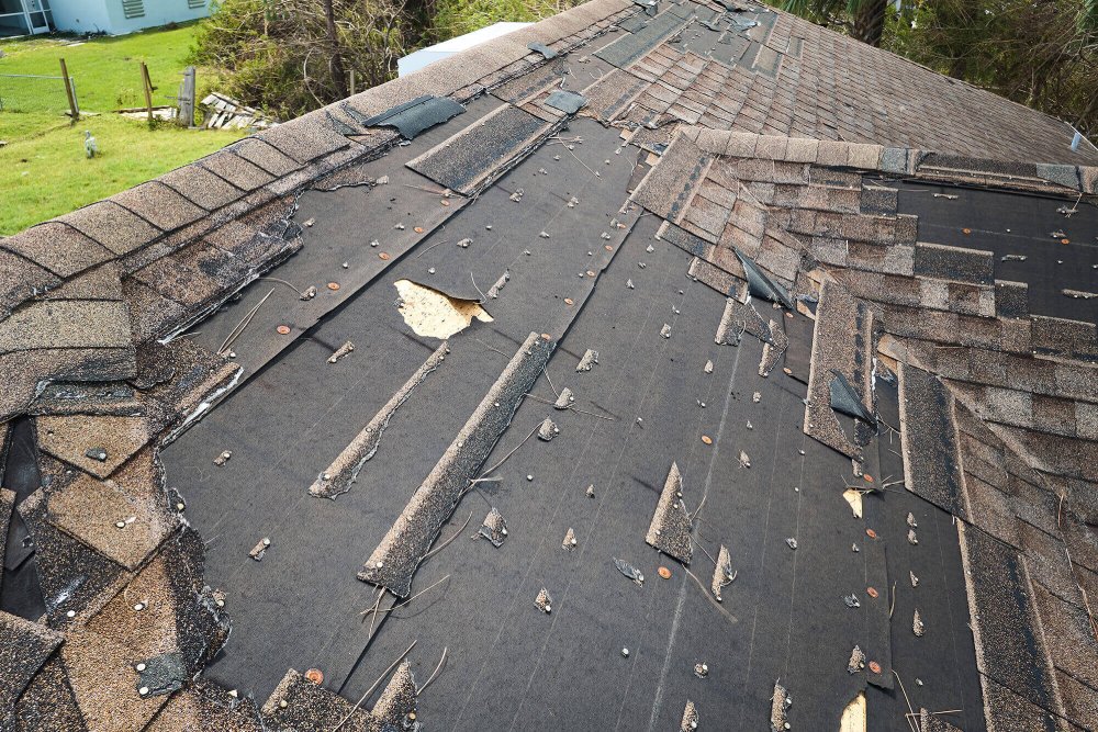 Roof Maintenance