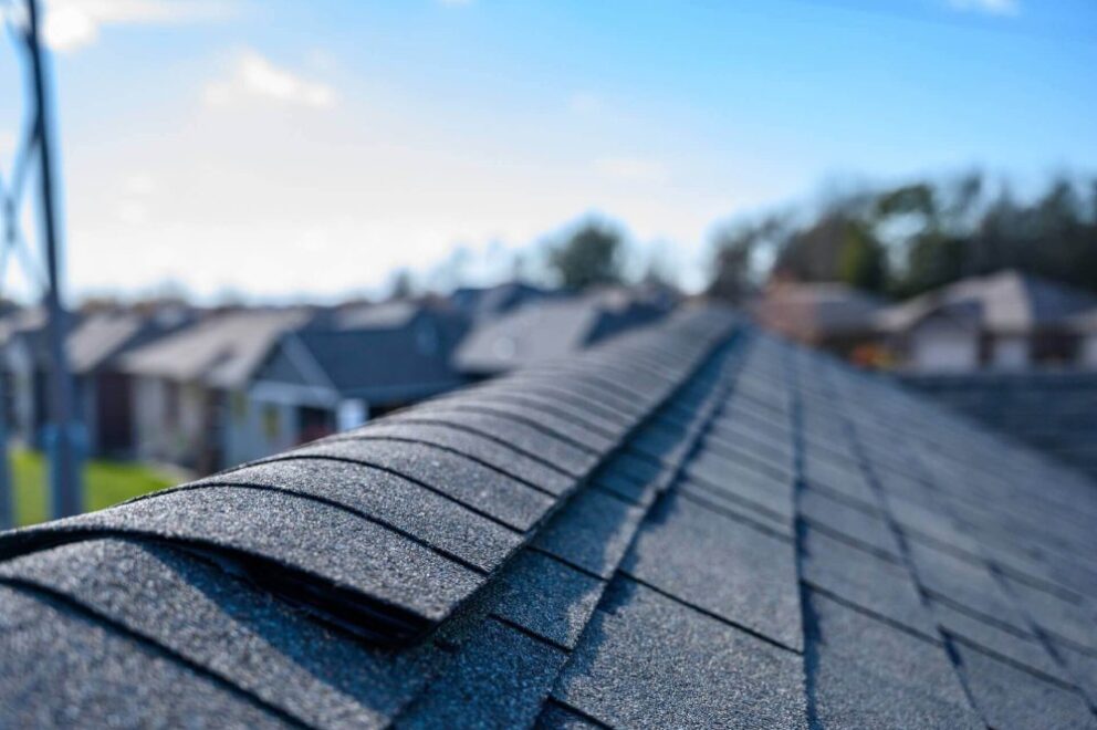 professional roof inspection service