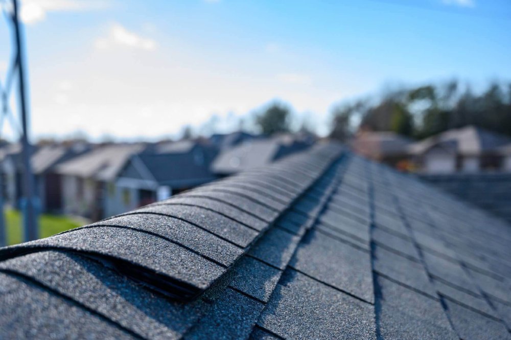 professional roof inspection service
