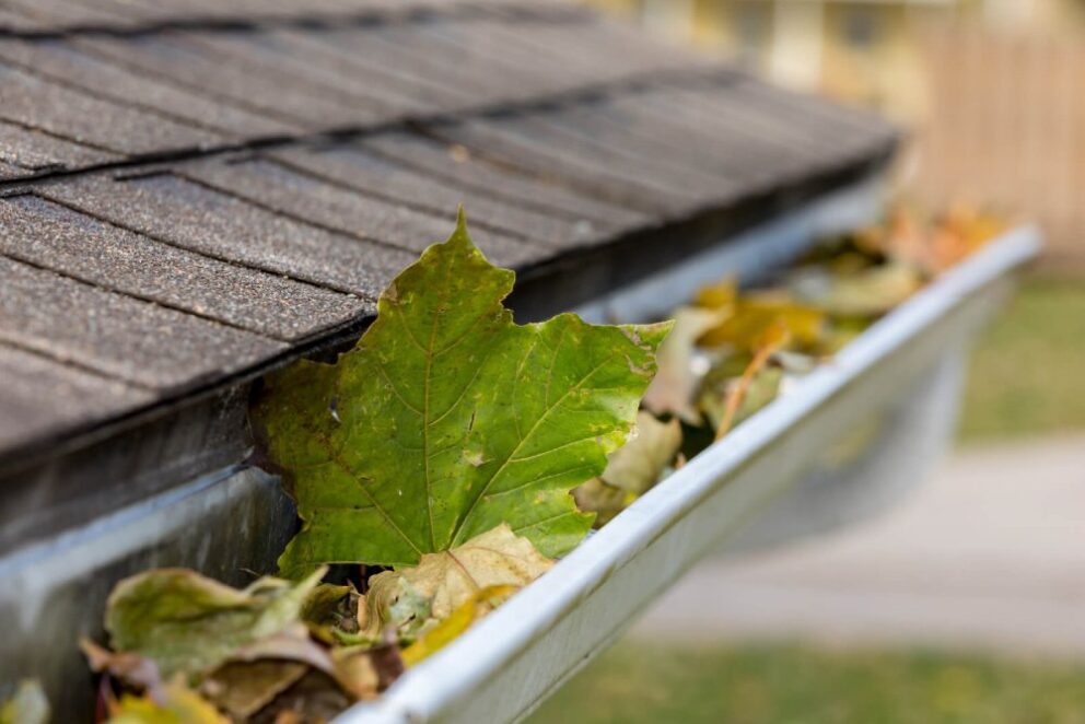 when should you clean gutters