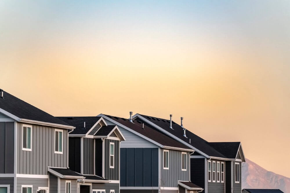 professional roofing services