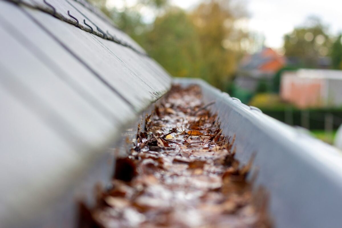 rain gutter maintenance