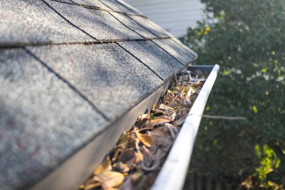 clogged gutters cause roof leaks