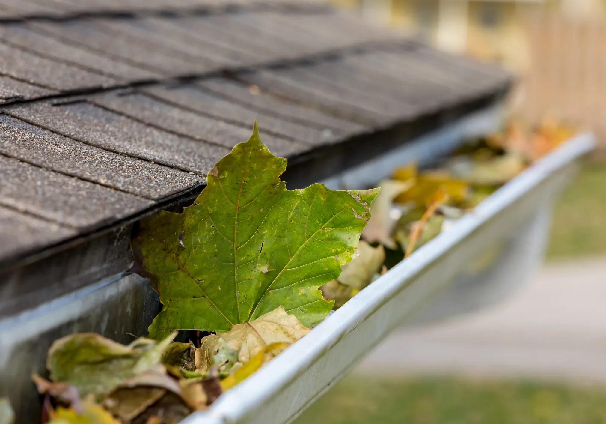 mountain vista roofing