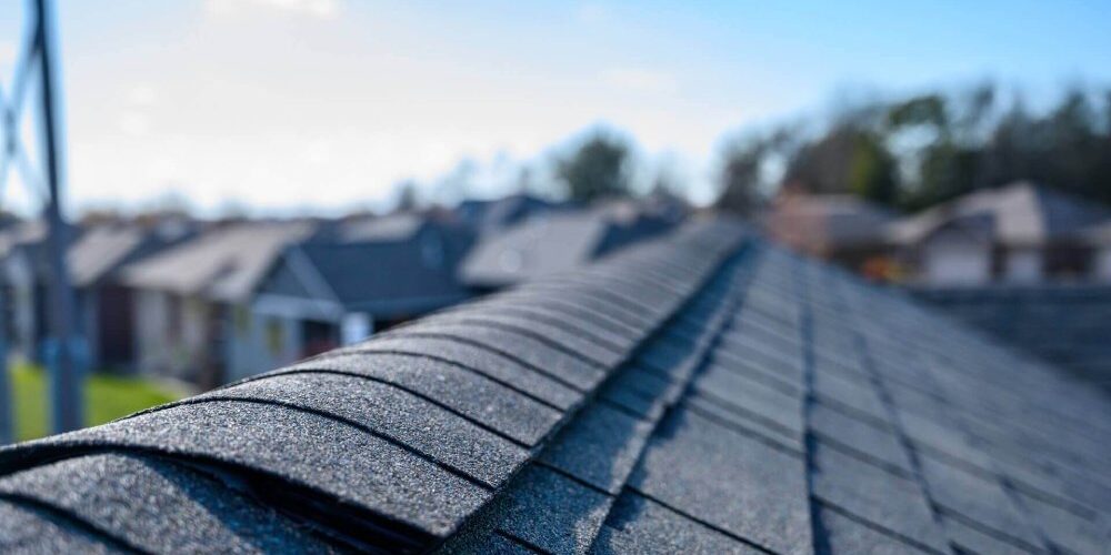 professional roof inspection service