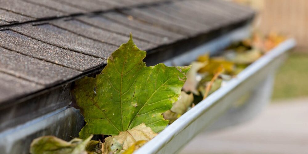 when should you clean gutters
