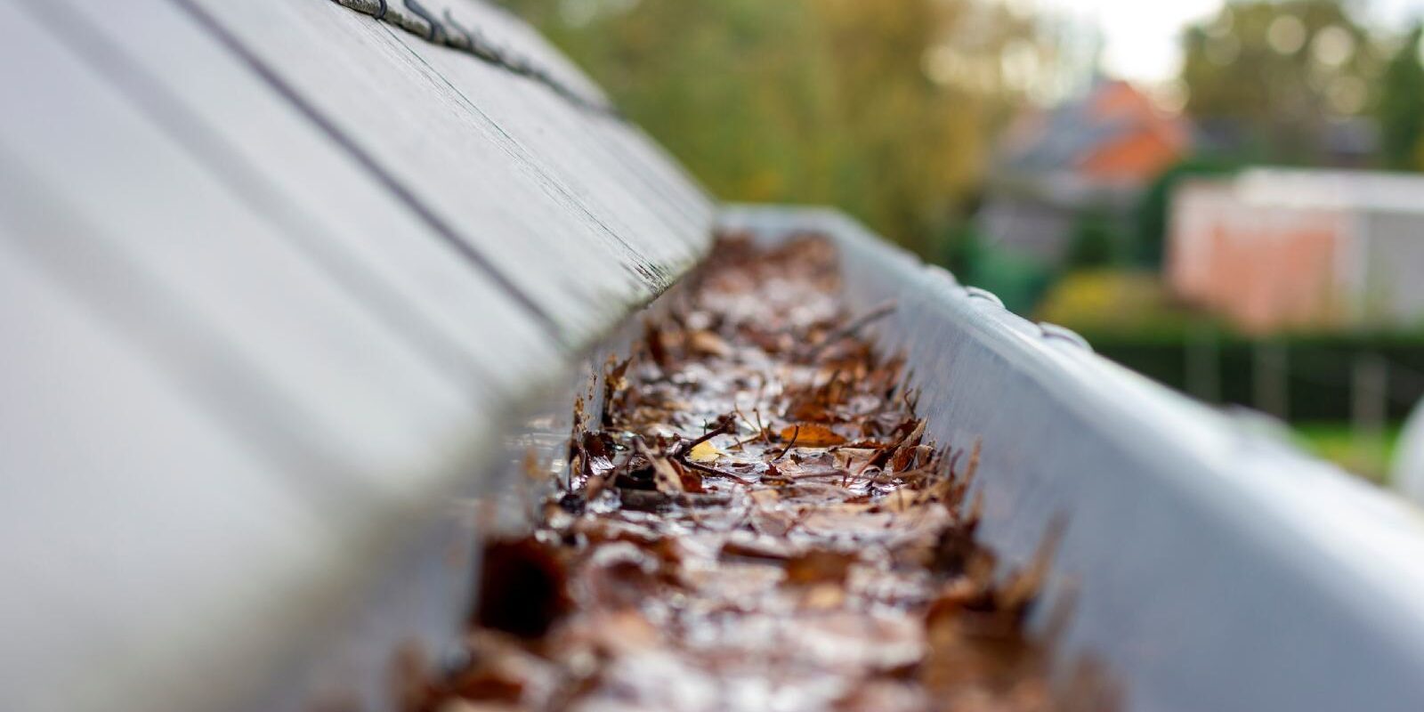 rain gutter maintenance