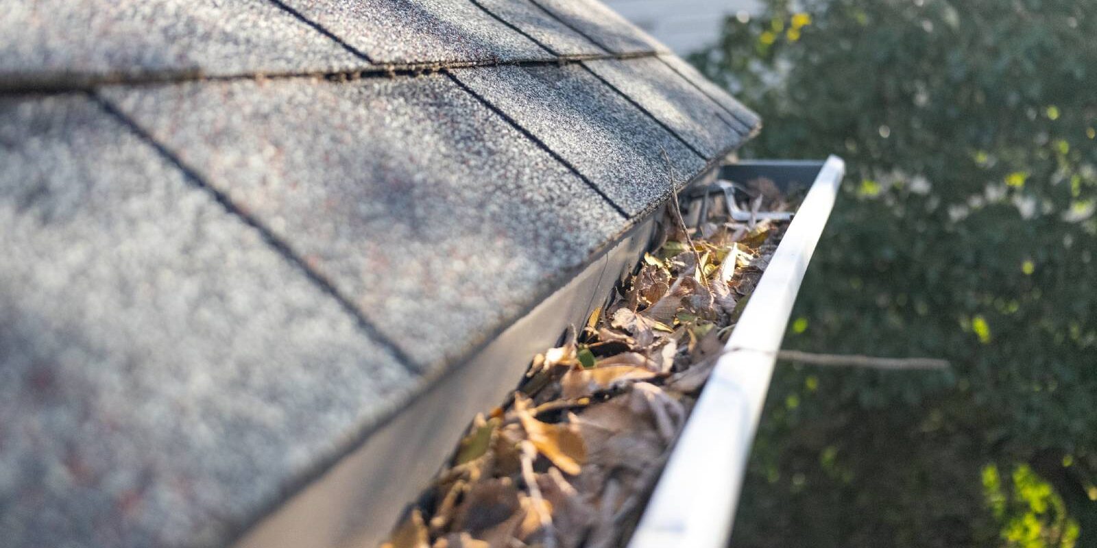 clogged gutters cause roof leaks